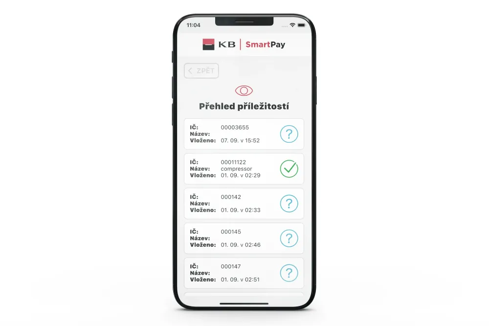 smartPay lead